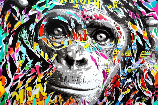 ADVENTURE MONKEY technique mixte sur toile 8021580 by Jo Di Bona 20208212Collection privee