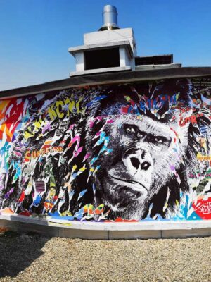 GORILLA SUR UN TOIT pour lrsquoemission de Richard Orlinski SUR LES MURS8212TV5 MONDE by Jo Di Bona Paris 2023