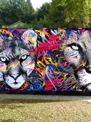 LE MUR EPINAL by Jo Di Bona Epinal 2018