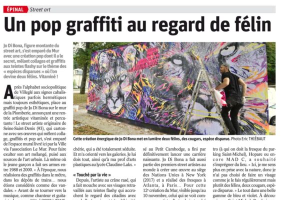 Article Vosges Matin